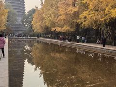 -玲珑塔公园