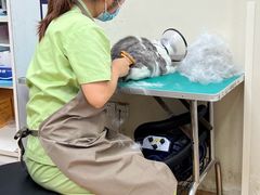 -芭比堂宠物医院·全科爱猫医院·仁德分院