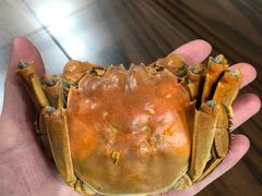 -丫丫蟹庄·苏式园林农家乐·阳澄湖大闸蟹(阳澄湖莲花岛店)