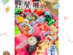 -东郊湿地公园