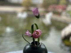 -广富林宰相府酒店·水云间