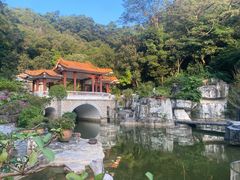-深圳仙湖植物园