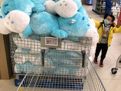 -盒马X会员店(上海森兰商都店)