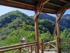 -大岭沟猕猴桃谷风景区