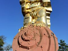 -大金鹰园