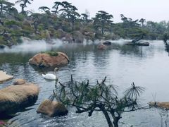 -罗红摄影艺术馆