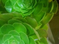 -AEON永旺(东方宝泰店)