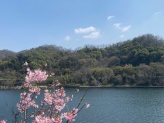 -云碧峰国家森林公园