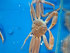 -海泰食府·新鲁菜·家宴(总部基地店)
