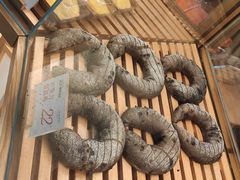 -木子木水日式烫面包(世界城光谷店)