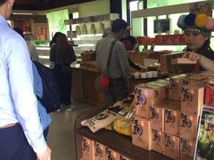 -优游吧斯邹族文化部落