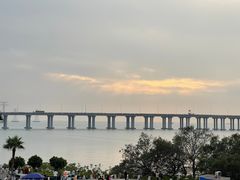 -宝安西湾红树林湿地公园