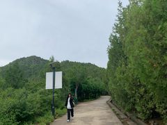 -府君山公园