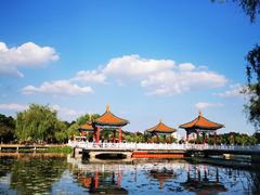 -长春市南湖公园