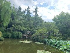 -秋霞圃