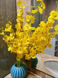 -简悦美塑·徒手点穴减肥