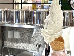 -野人先生Gelato(上海长宁龙之梦店)