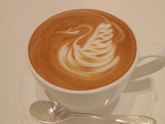 -BLACKSWAN黑天鹅(新希望店)