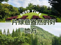 -深圳仙湖植物园