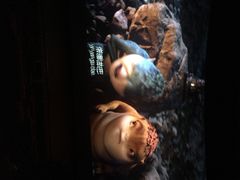 大光明新国际影城(青浦吾悦店)-大光明新国际影城(青浦吾悦店)