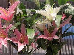 -鑫小城故事·藕汤·家常菜(台北一路总店)