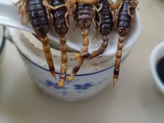 -国英炖品店(甲子路店)