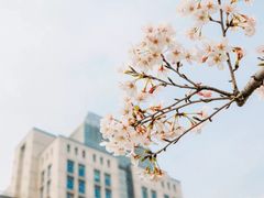 -江南大学(蠡湖校区)