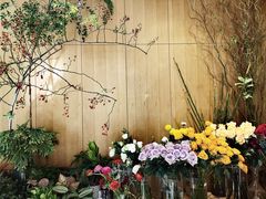 -蝶舍·MAISON PAPILLON