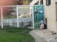 -西安秦岭野生动物园