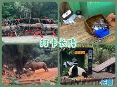 -广州长隆野生动物世界