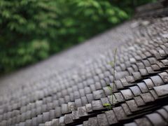 -法云安缦酒店