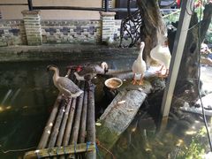 -优之名鹅城