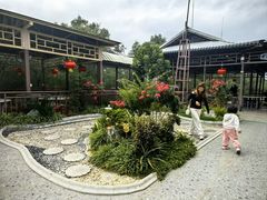 -崖口红树林海鲜餐厅