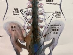 -复动肌骨门诊·MEDMOTION(北外滩店)