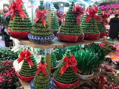 -双季花艺园艺市场(浦东店)