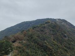 -梧桐山风景名胜区