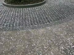 -中国银行(上海市新闸路支行)