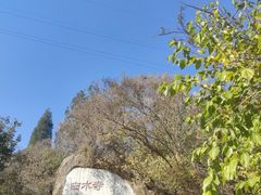 -白水寺森林公园