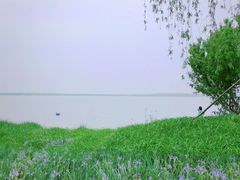 -天津东丽湖风景区