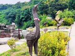 -北京西山国家森林公园