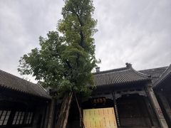 -天津戏剧博物馆