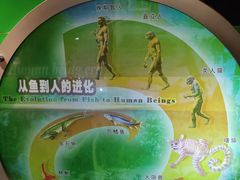-河南自然博物馆