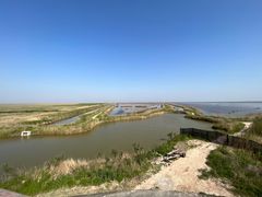 -盐城丹顶鹤湿地生态旅游区