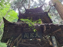 -青城山