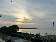 -上海滨江森林公园