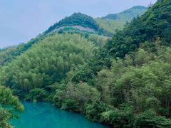 -莫干山风景区