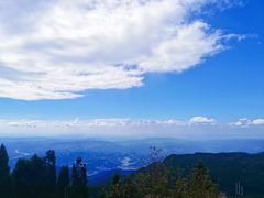 -武陵山森林公园