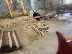 -海南热带野生动植物园