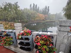 -大兴滨河森林公园