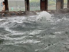 -春晖园度假酒店温泉